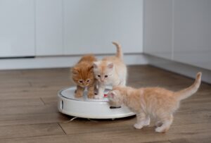 Aspiradoras para pelo de mascotas