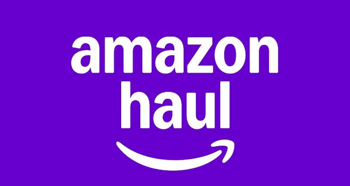 Amazon Haul Logo
